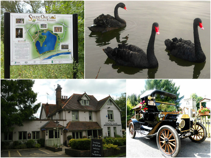 Spade Oak Nature Reserve In Little Marlow, Buckinghamshire