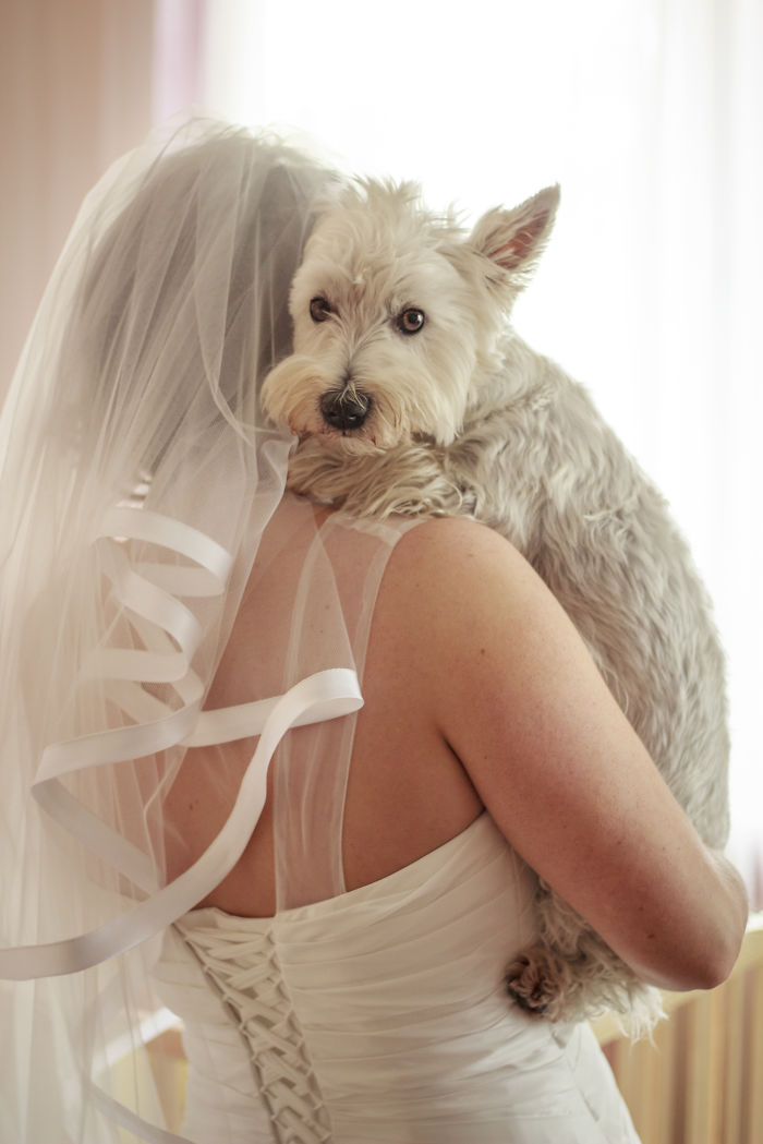 My Wedding&my Best Friend :)