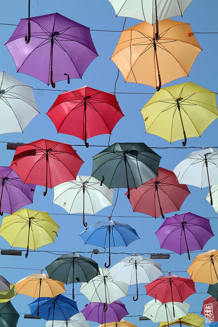 Umbrella Sky 2