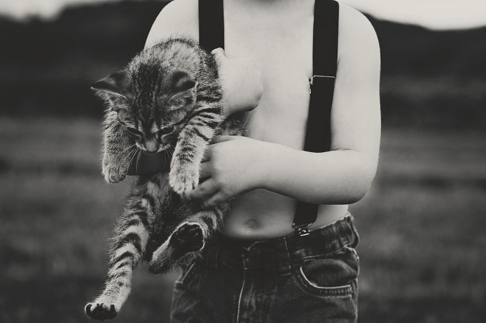 Boy And His Cat
