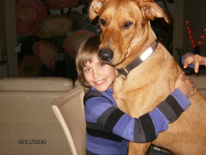 Dobber/chow-chow 75 Kg.