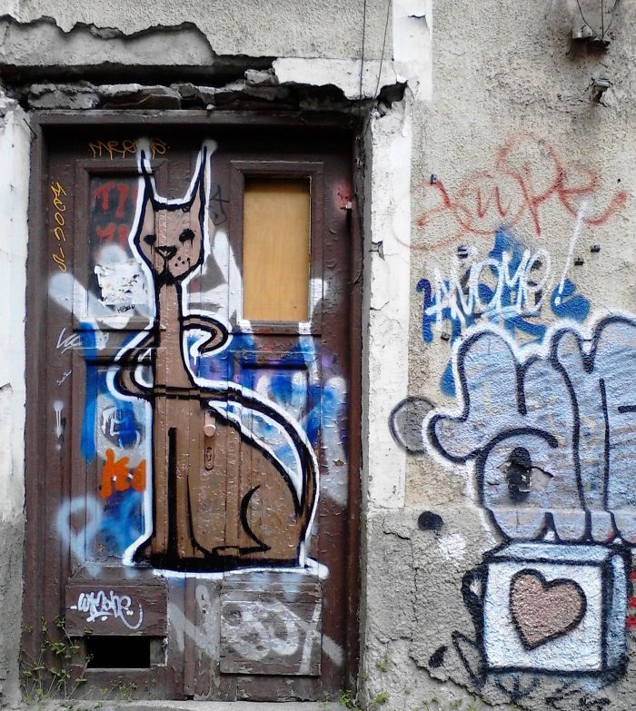 My 'egyptian' Like Cat At An Abandoned House Sofia, Bulgaria