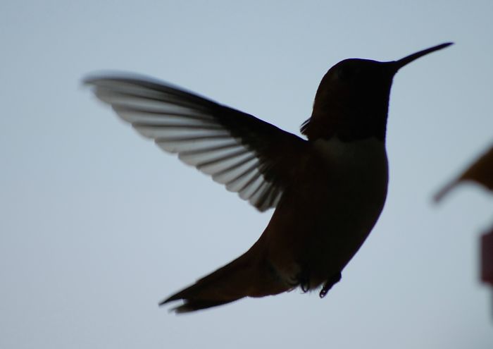 From Sooke, Bc, Canada (nadine)