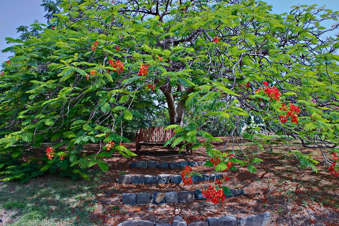 Kursi, Gallilee Region, Israel