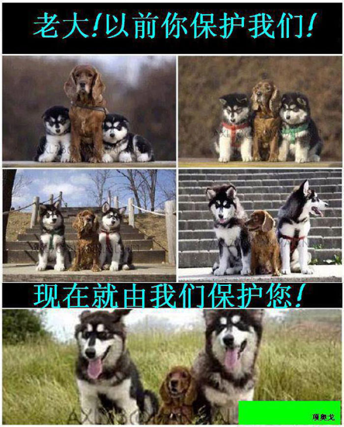 My Little Brothers (then And Now)