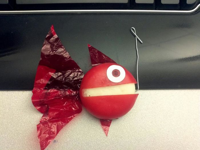 Cheesy Fish - Office Snack Sculpture