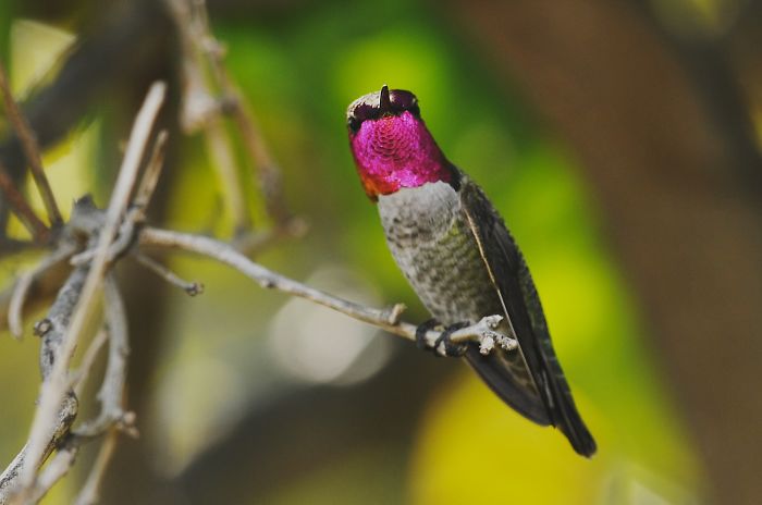 Here's Looking At You !