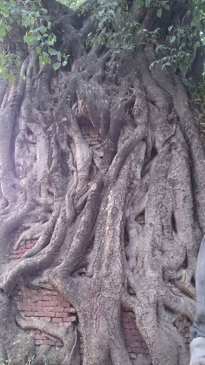 Bhaktapur Nepal Other Position