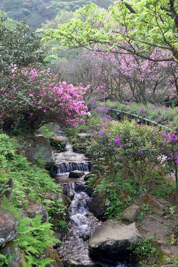 The Yan-min-mountain In Taiwan