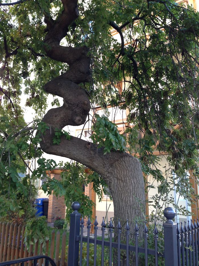 Germany Bad Harzburg