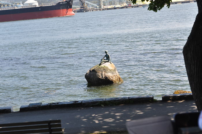 Enjoying The View, Vancouver, Canada