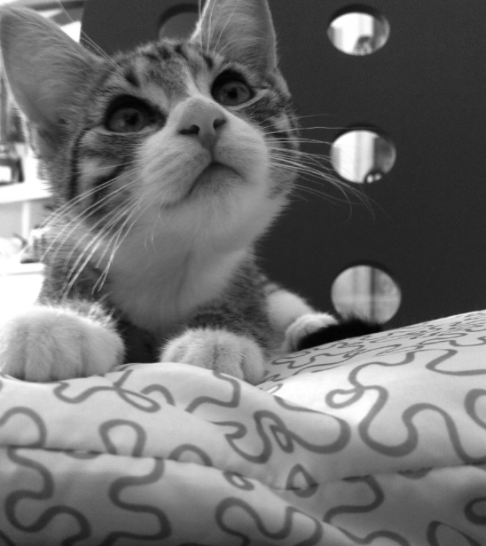 Butter Wouldn't Melt!