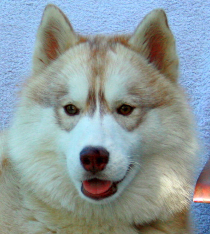 Melinda Wears John Lennon Glasses