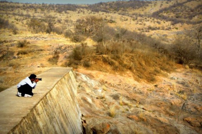 Ranthambore National Park (rajasthan, India)