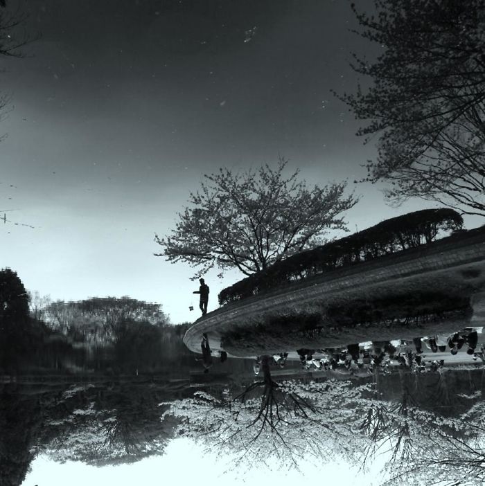 Japanese Garden, Tokyo