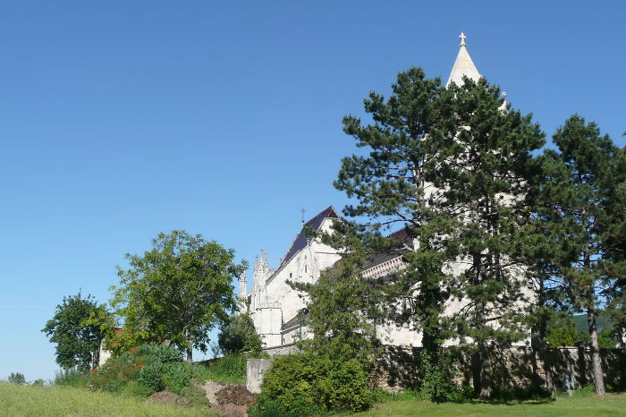 Pines - Hainburg An Der Donau, Austria