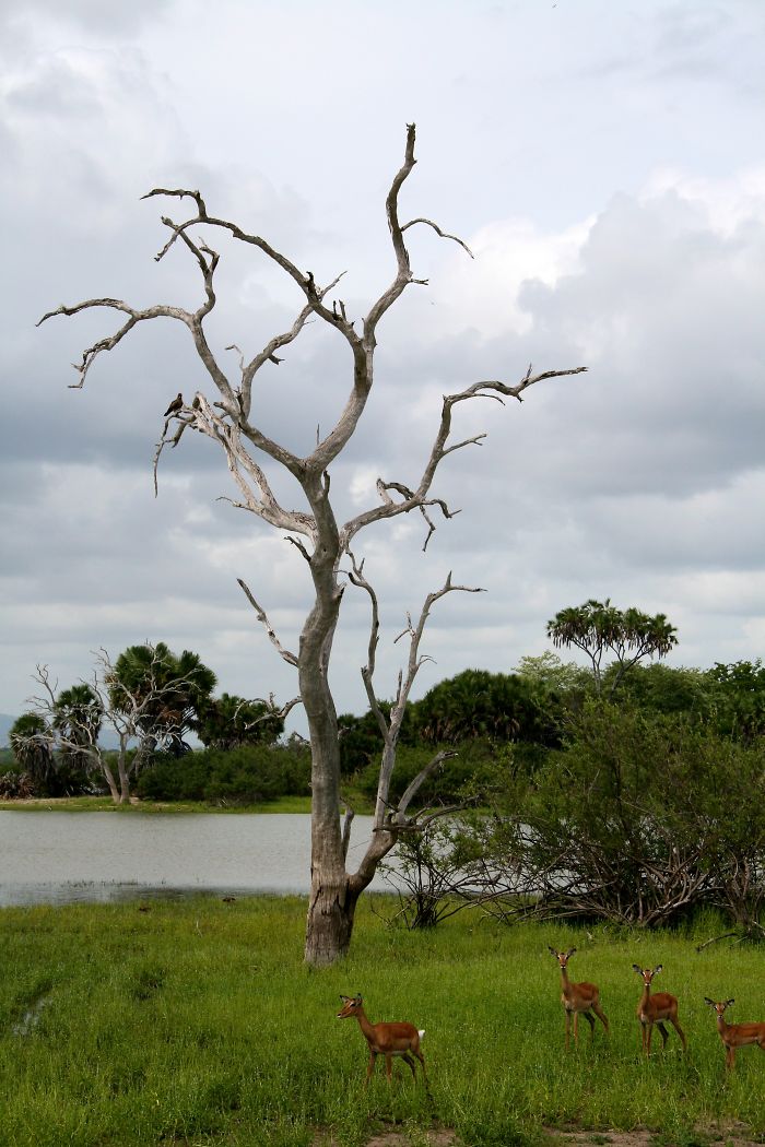 Life Is Just A Blast Movin' Very Fast!