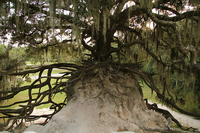 Medard Park, Florida