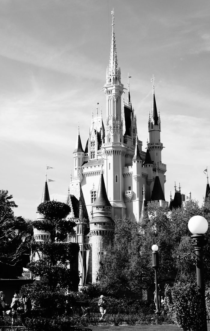 Magic Kingdom