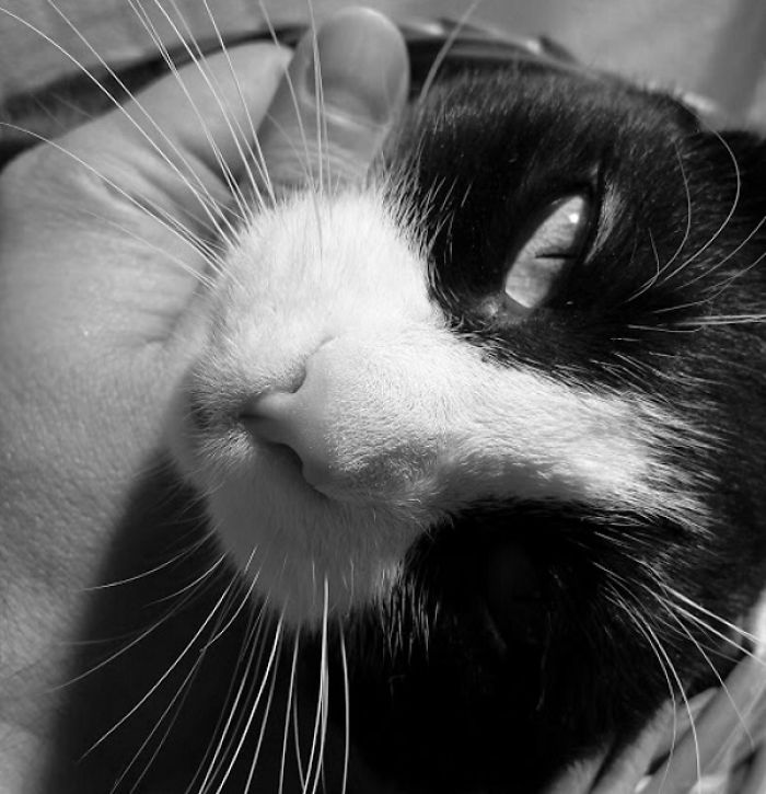 Poxi - Enjoying The Summer Sun