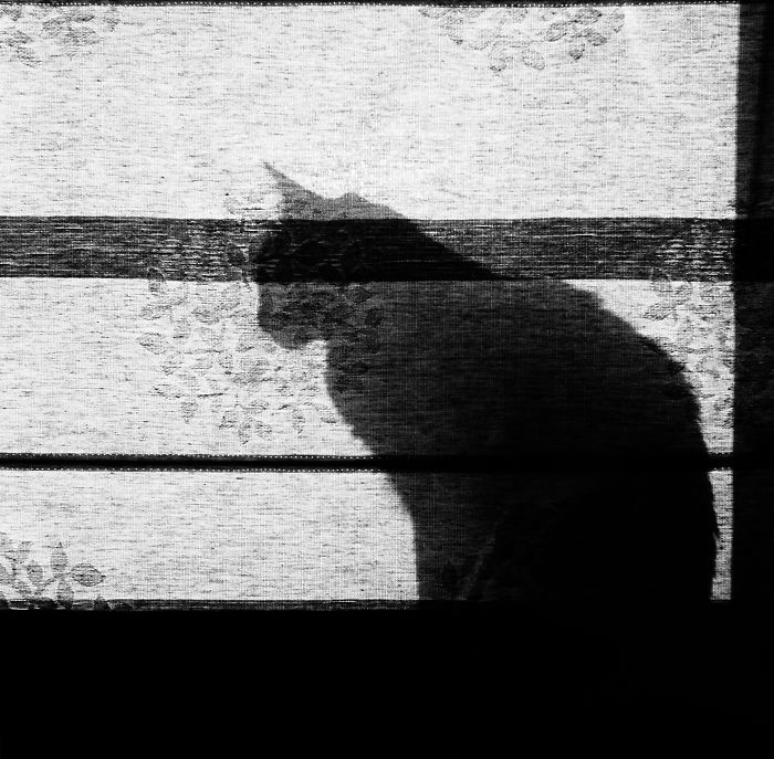 Lara Hidden From Visitors