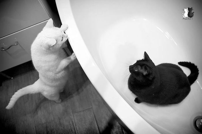 Black And White - Maniek And Marcelka :) 