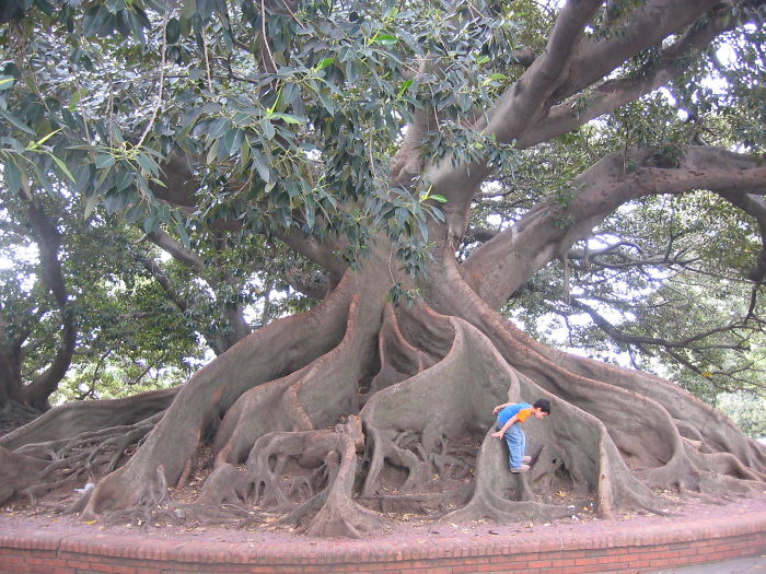 Buenos Aires, Argentina