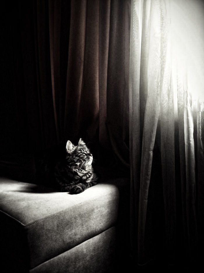 Oğluş Is Having Sunbath