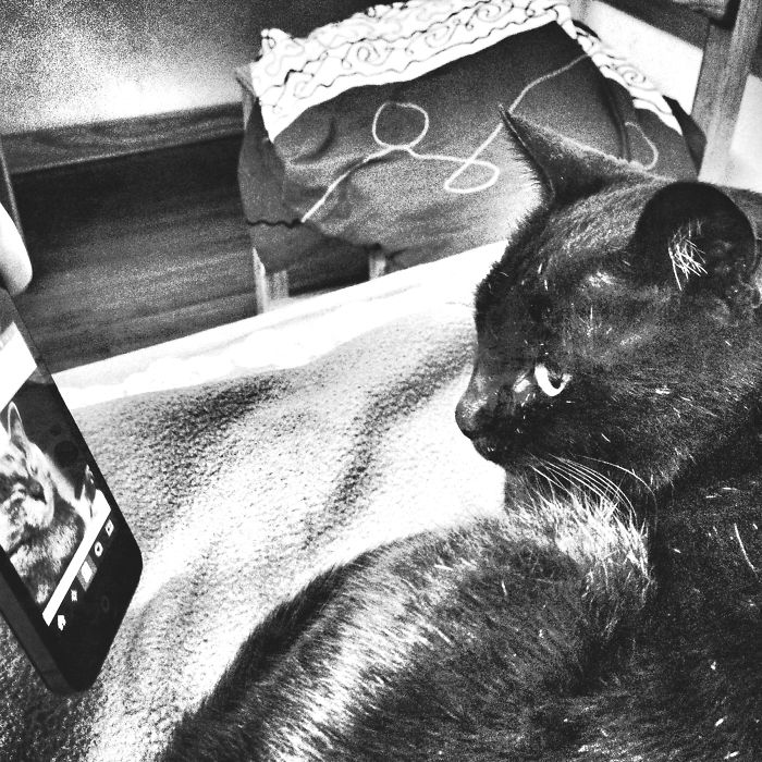 Arranged Wedding Arrangement. India.