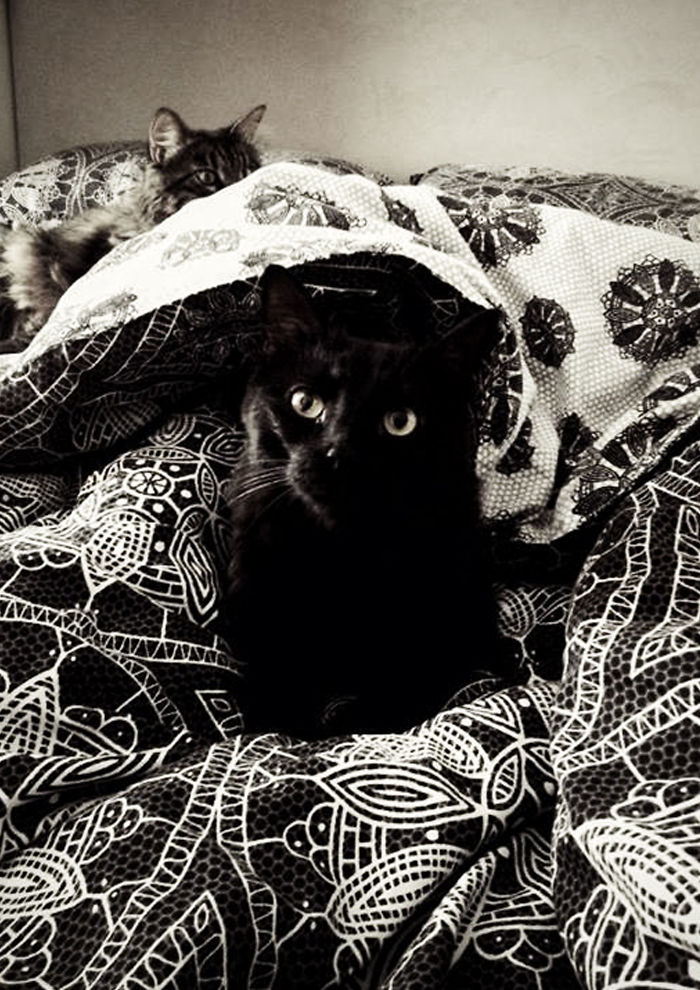 It's Great To Open Your Eyes With Yoda :)