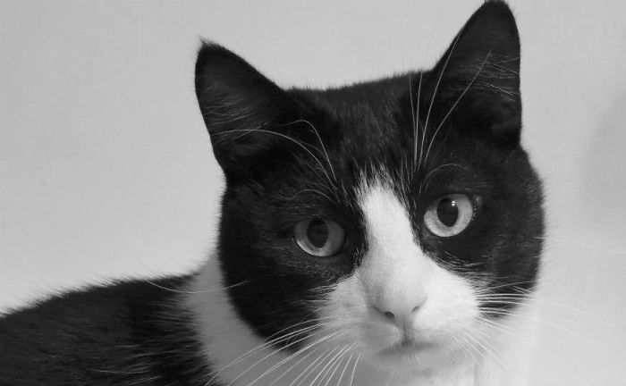 Poxi - Photo Shooting Session