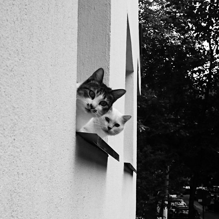 There's A Couple Of Inquiries We've Been Having...