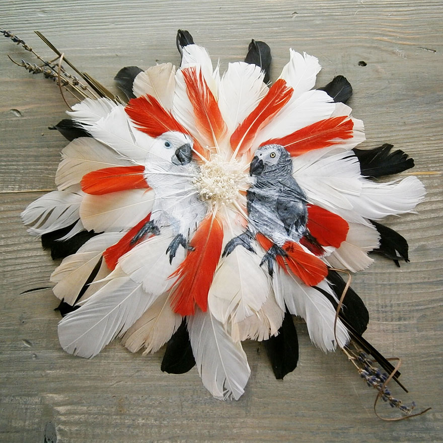 oil-acrylic-paintings-parrot-feathers-jamie-homeister-18 oil-acrylic-paintings-parrot-feathers-jamie-homeister-18