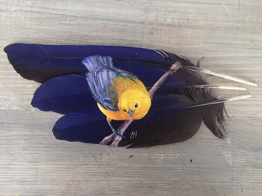 oil-acrylic-paintings-parrot-feathers-jamie-homeister-2 oil-acrylic-paintings-parrot-feathers-jamie-homeister-2