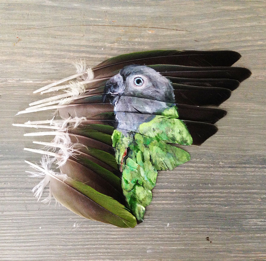 oil-acrylic-paintings-parrot-feathers-jamie-homeister-24 oil-acrylic-paintings-parrot-feathers-jamie-homeister-24