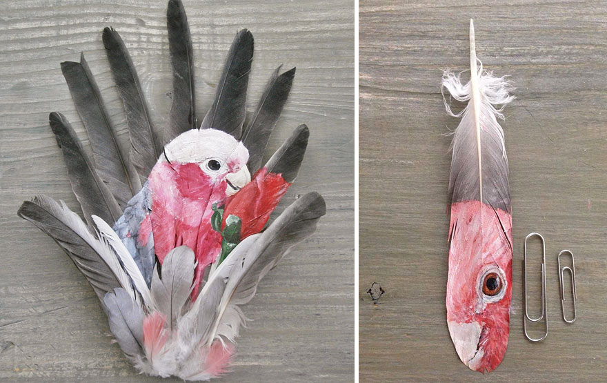 oil-acrylic-paintings-parrot-feathers-jamie-homeister-26 oil-acrylic-paintings-parrot-feathers-jamie-homeister-26