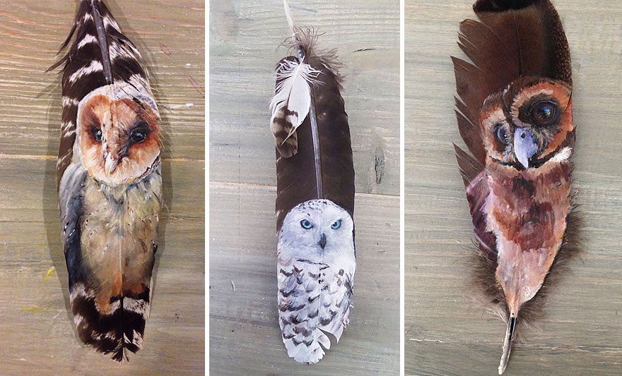 oil-acrylic-paintings-parrot-feathers-jamie-homeister-38 oil-acrylic-paintings-parrot-feathers-jamie-homeister-38