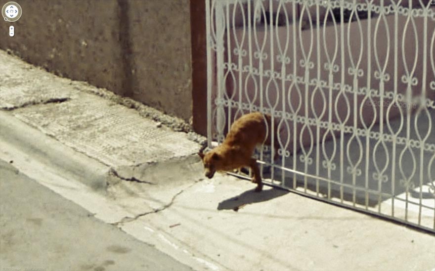 36 Strange and Funny Google Street View Photos
