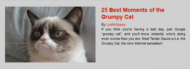 25 Best Moments of the Grumpy Cat 25 Best Moments of the Grumpy Cat