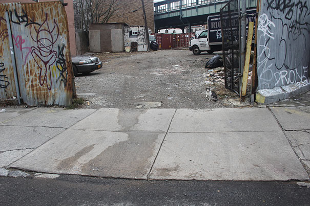 People's Faces Recreated From the DNA Found In Chewing Gums and Cigarette Butts