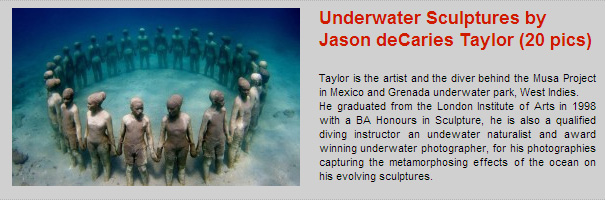 This Week’s Top 5 User Submitted Stories #40