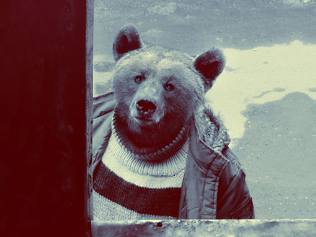 Animals Dressed As People By Cristoph Meyer