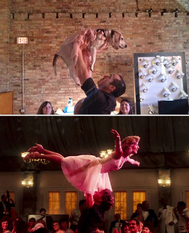 wrigley-at-the-movies-dog-reenacts-famous-movies-1 wrigley-at-the-movies-dog-reenacts-famous-movies-1