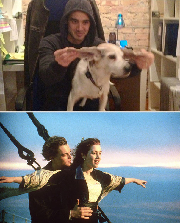 wrigley-at-the-movies-dog-reenacts-famous-movies-12 wrigley-at-the-movies-dog-reenacts-famous-movies-12