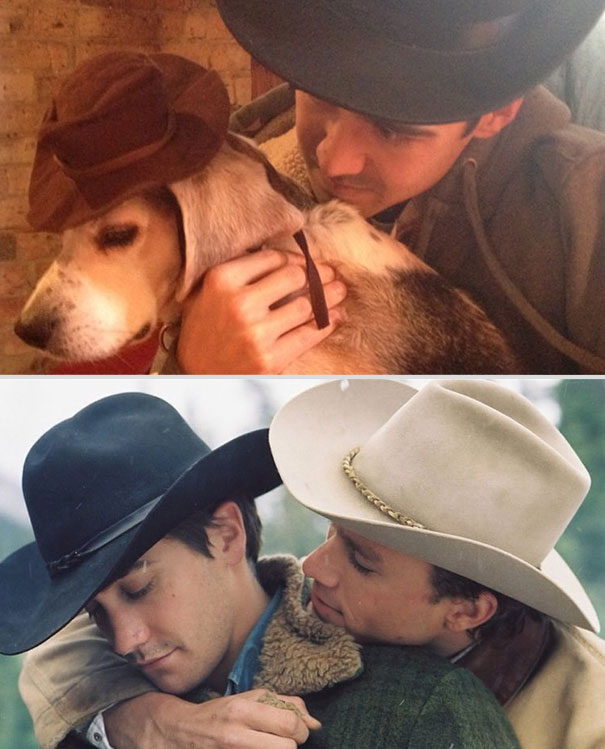 wrigley-at-the-movies-dog-reenacts-famous-movies-2 wrigley-at-the-movies-dog-reenacts-famous-movies-2