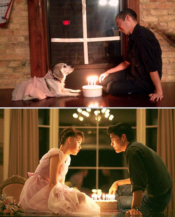 wrigley-at-the-movies-dog-reenacts-famous-movies-3 wrigley-at-the-movies-dog-reenacts-famous-movies-3