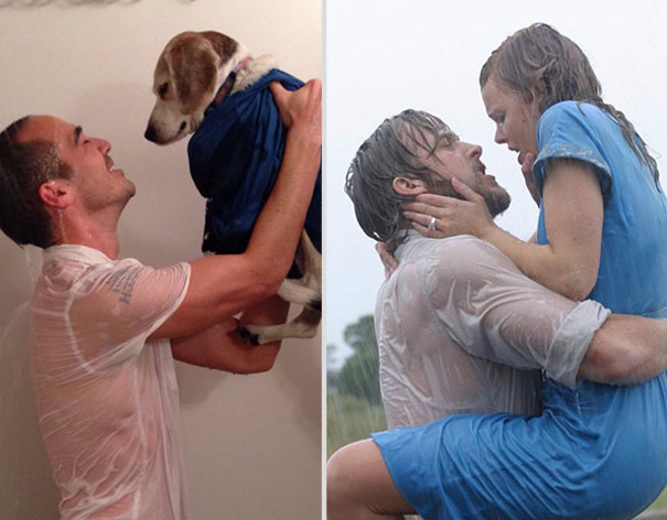wrigley-at-the-movies-dog-reenacts-famous-movies-5 wrigley-at-the-movies-dog-reenacts-famous-movies-5