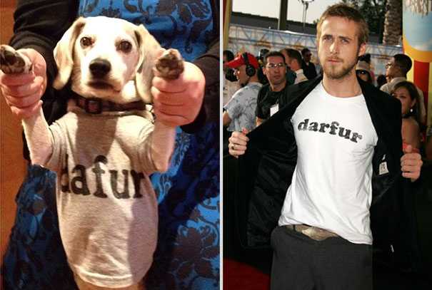 wrigley-at-the-movies-dog-reenacts-famous-movies-6 wrigley-at-the-movies-dog-reenacts-famous-movies-6
