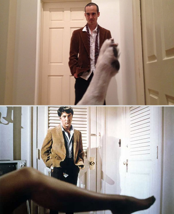 wrigley-at-the-movies-dog-reenacts-famous-movies-7 wrigley-at-the-movies-dog-reenacts-famous-movies-7