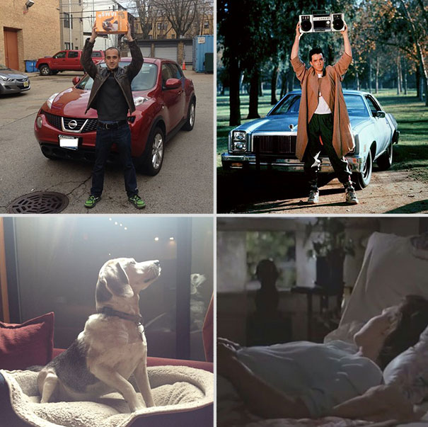 wrigley-at-the-movies-dog-reenacts-famous-movies-9 wrigley-at-the-movies-dog-reenacts-famous-movies-9